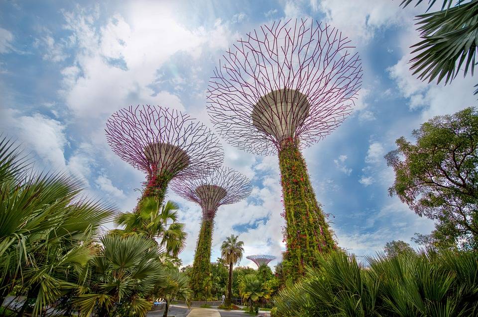 SINGAPORE & BALI 